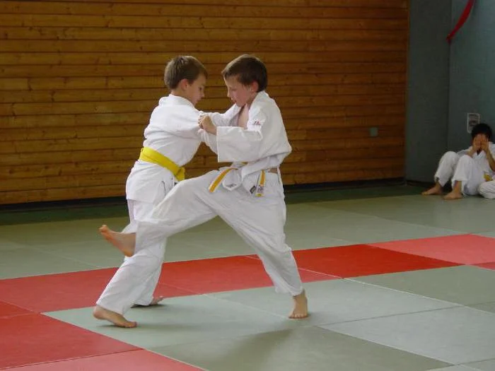 Judo Federation präsentiert Schulungsplan