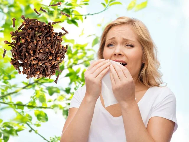 De la fatigue chronique aux difficultés digestives, c'est pourquoi les médecins recommandent d'utiliser des gousses sèches