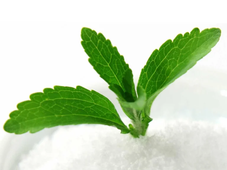 Don't you know what to do to quit smoking? Meet the plant that removes the desire to consume it