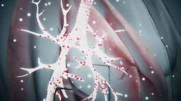 Scientists appeal to family members: Attention, this new symptom of the Coronanvirus is emerging in the elderly