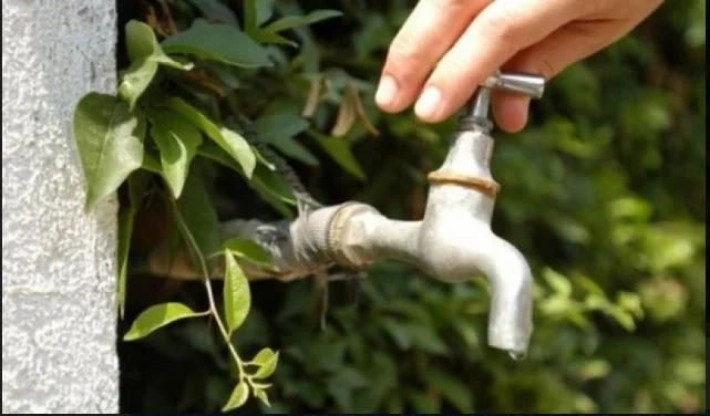 Wasser Company: Wasser wird rational verbraucht
