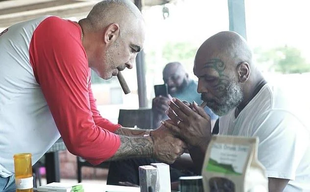Cannabis milliardaire, partenaire de Tyson, propose d'acheter le nom “Camp Nout”