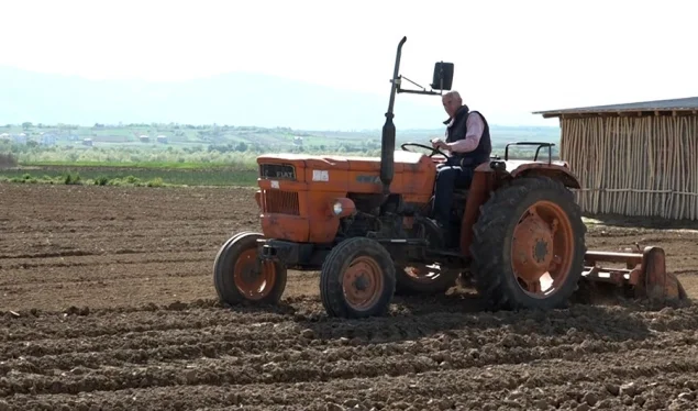 The 50-year job of the Hoti family in agriculture this year is at risk of exhumation because of the coronary