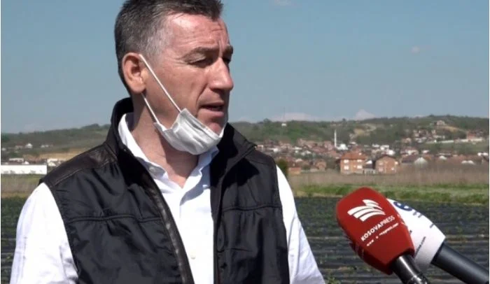Kadri Wessel: LDK, VV han dañado Kosovo