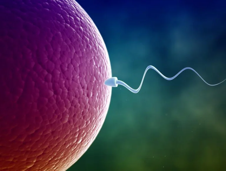 Così si può fare sesso senza un preservativo e non rimanere incinta