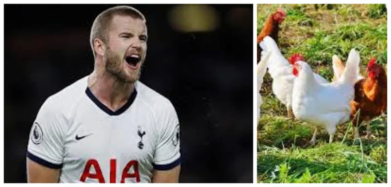 The brave statement of Tottenham's star: I'm growing chickens, like my kids.