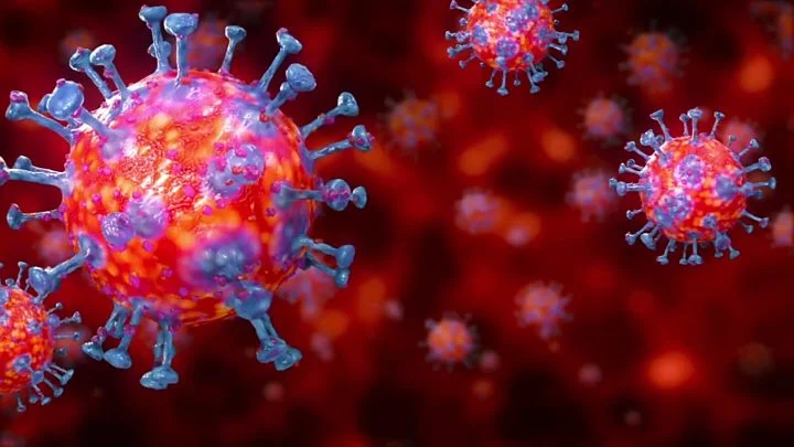 Le sonde contro la malaria aumentano la mortalità del Coronavirus