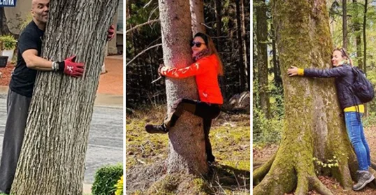 You want to beat loneliness during quarantine? Here is the state that advises citizens to embrace trees