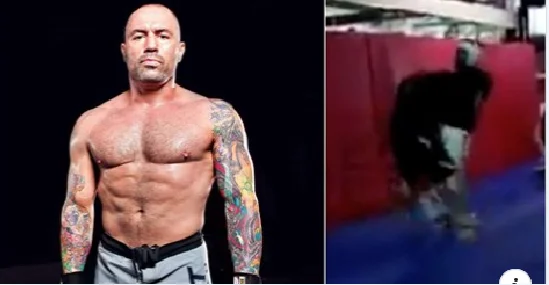 We remember the moment the online molester suffered badly when he challenged the known UFC figure