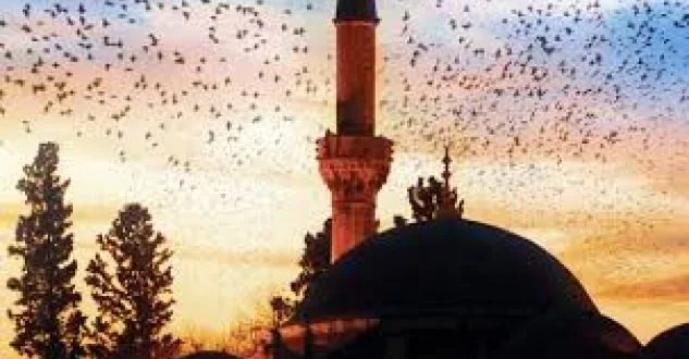 Comment la technologie peut aider la communauté musulmane pendant le Ramadan