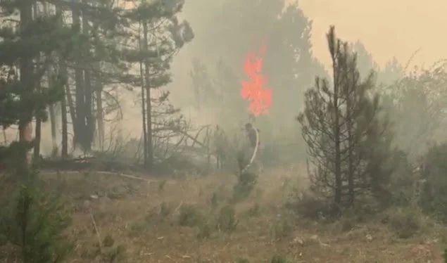 Brûler les forêts à Lausha
