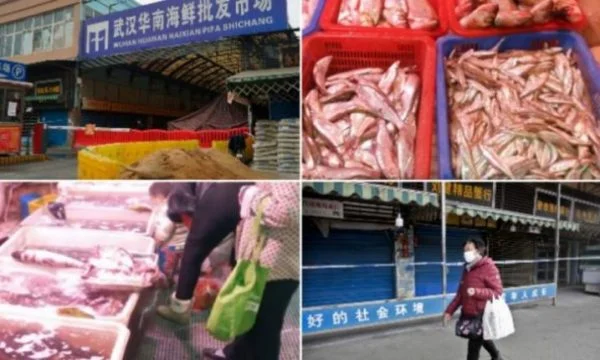 Where the Coronervirus began to reopen the giant market with living sea creatures