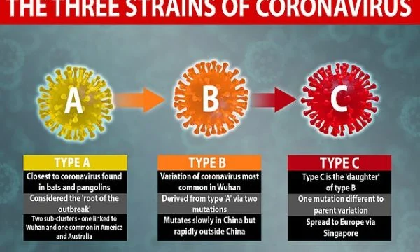 Cambridge University Study: Coronavius a explosé en septembre 2019, il y a trois types