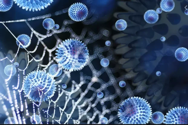 Survey: Coronavirus will mutate