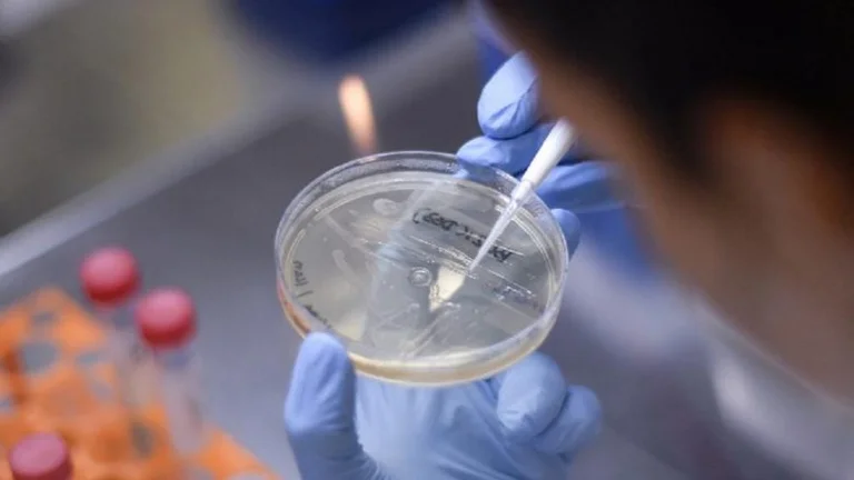 Serait-ce le vaccin découvert il y a un siècle, “la clé” pour affronter le coronavirus?