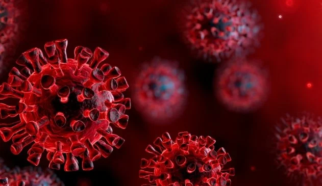 284 nouveaux cas coronaires en Serbie atteignent 1,908