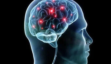 Queste usanze quotidiane hanno un impatto negativo sulla funzione cerebrale