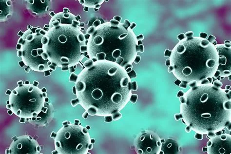 Le chanteur affecté par le coronavirus meurt