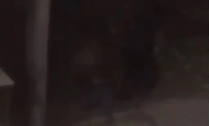Video published: Police in Pristina beat up citizen who did not respect police time