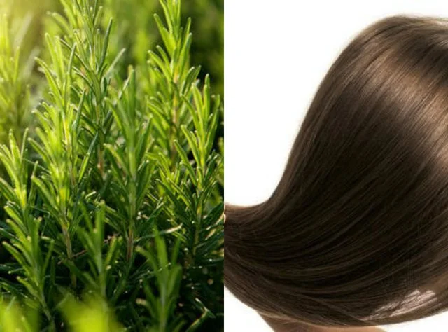Cinq raisons pour lesquelles il y a un masque et un baume qui bat le romarin quand il s'agit de cheveux