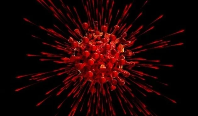 Le scientifique croate montre pourquoi les aliments doivent être mis en quarantaine avant utilisation
