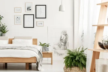 Check the house! These three things you always find in the house of happy people.