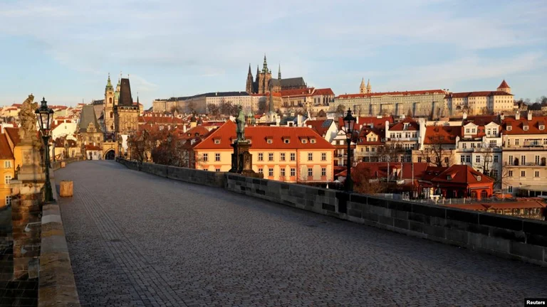 In Czechia, the application of the wise “canine”