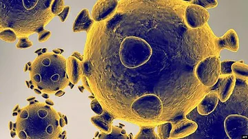 Coronervirus converte le cellule del paziente in “fabrics dei virus