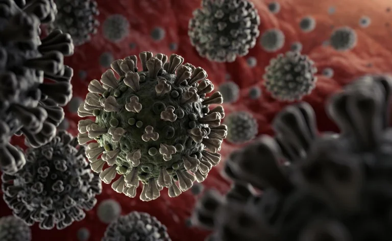Coronavirus ha ucciso più di 30.000 persone nel mondo