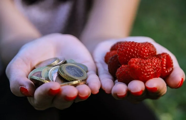 Plus de 4,7 millions d'euros payés pour les agriculteurs