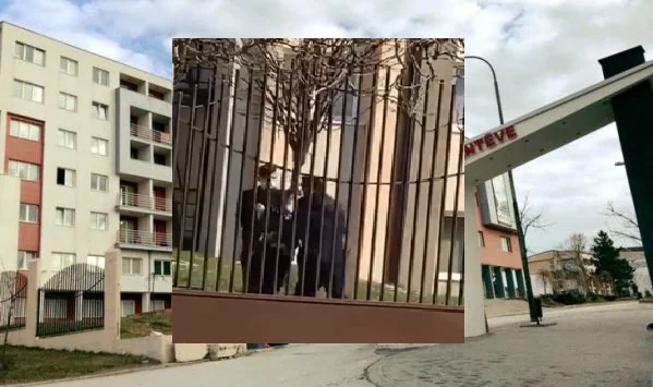 Mbërrijnë në Kosovë 55 qytetarë nga Zvicra, futen menjëherë në karantinë