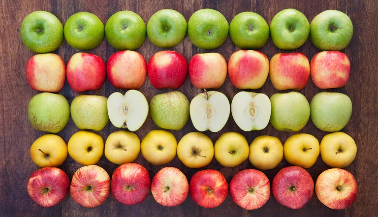 Apples are the best food for breakfast