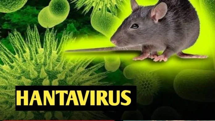 È stato riferito che un nuovo virus è stato diffuso in Cina, ma ciò che è hantavirus e dobbiamo temere