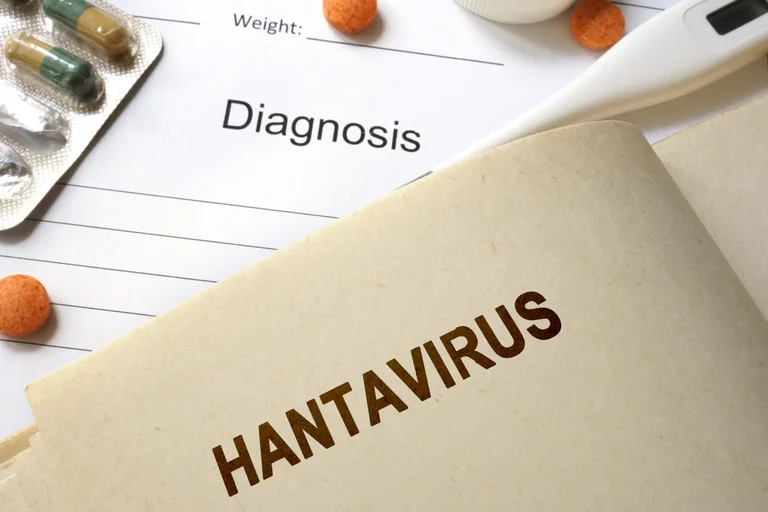 Altre virtù emergono nel mondo: un uomo muore in Cina da Hantavirus
