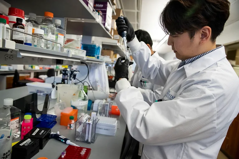 Los científicos de Singapur descubren la forma de probar la vacuna contra la vitamina durante unos días