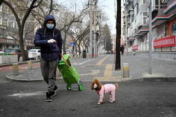 Seven advice for dogs and cats: They're not endangered, they don't carry the virus