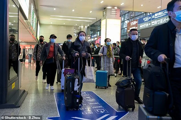 Experts warn bankruptcy of nearly all airlines in the world