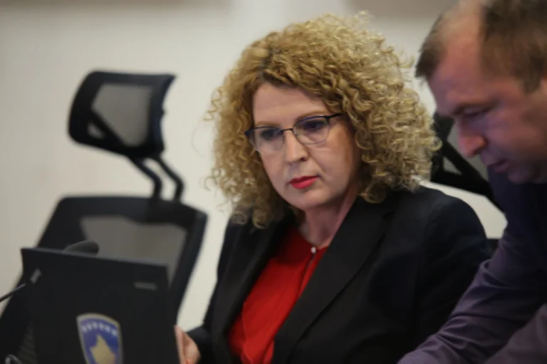 Minister Hajdari: No panic needs for state reserves, situation under control