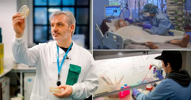E COFRIMMENT: British scientists prove too close to discovery of the Coronavirus vaccine