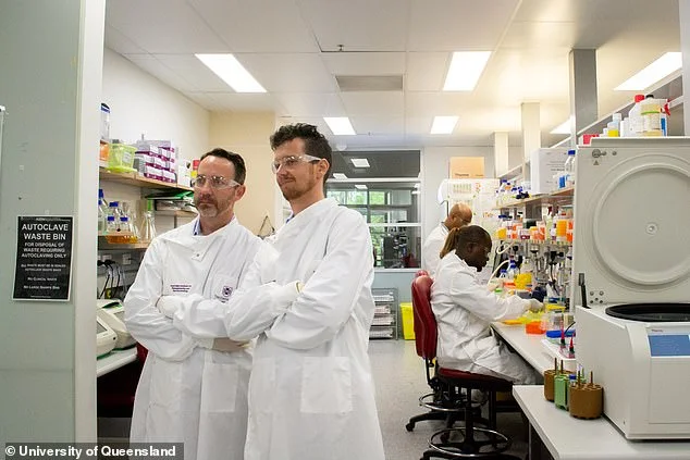 Australian scientists already have a coronary vaccine ready