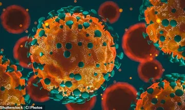 Gli scienziati: Coronavius può sopravvivere nell'aria per tre ore sulla superficie della plastica e dell'acciaio fino a tre giorni