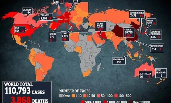 Why is Africa at least affected by the coronary