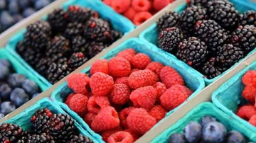 Il miglior cibo durante l'inverno