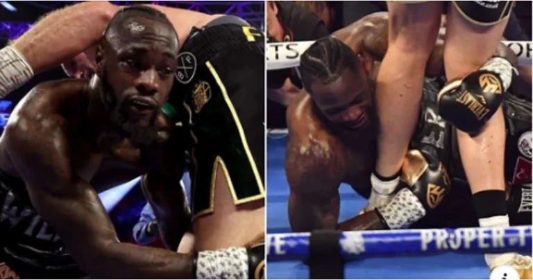 Il n'a combattu que de pauvres boxeurs : le disque de Wilder est mal exposé par l'aspect graphique