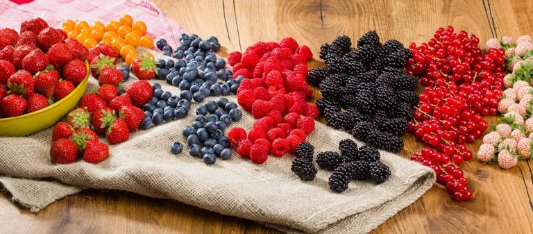 Des aliments qui ralentissent l'âge
