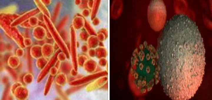 Be careful! This sexually transmitted virus is endangering your health, resistance to antibiotics