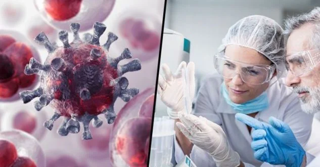 This killer in every house causes the most serious diseases, 3.8 million people die a year