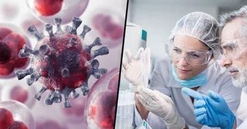 This killer in every house causes the most serious diseases, 3.8 million people die a year