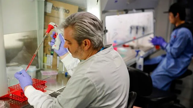 Déclaration des scientifiques: Coronavius peut revenir chaque année pour détruire l'humanité