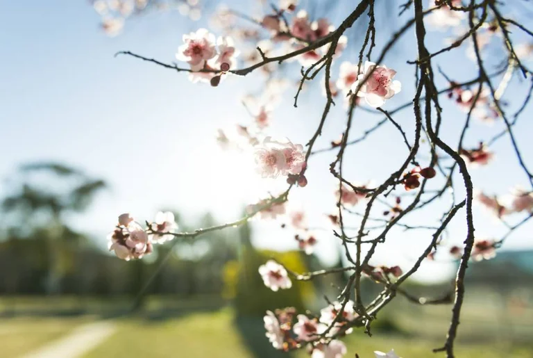 Pourquoi l'arrivée du printemps apporte plus de productivité